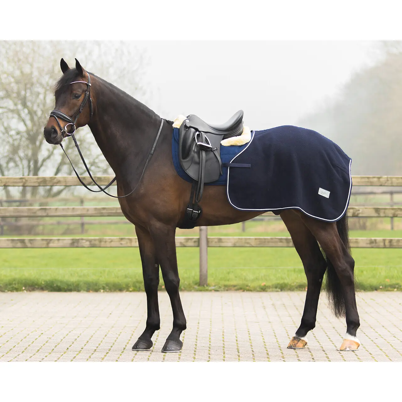 Qhp Bleu Wool Horse Walking Blanket Quarter