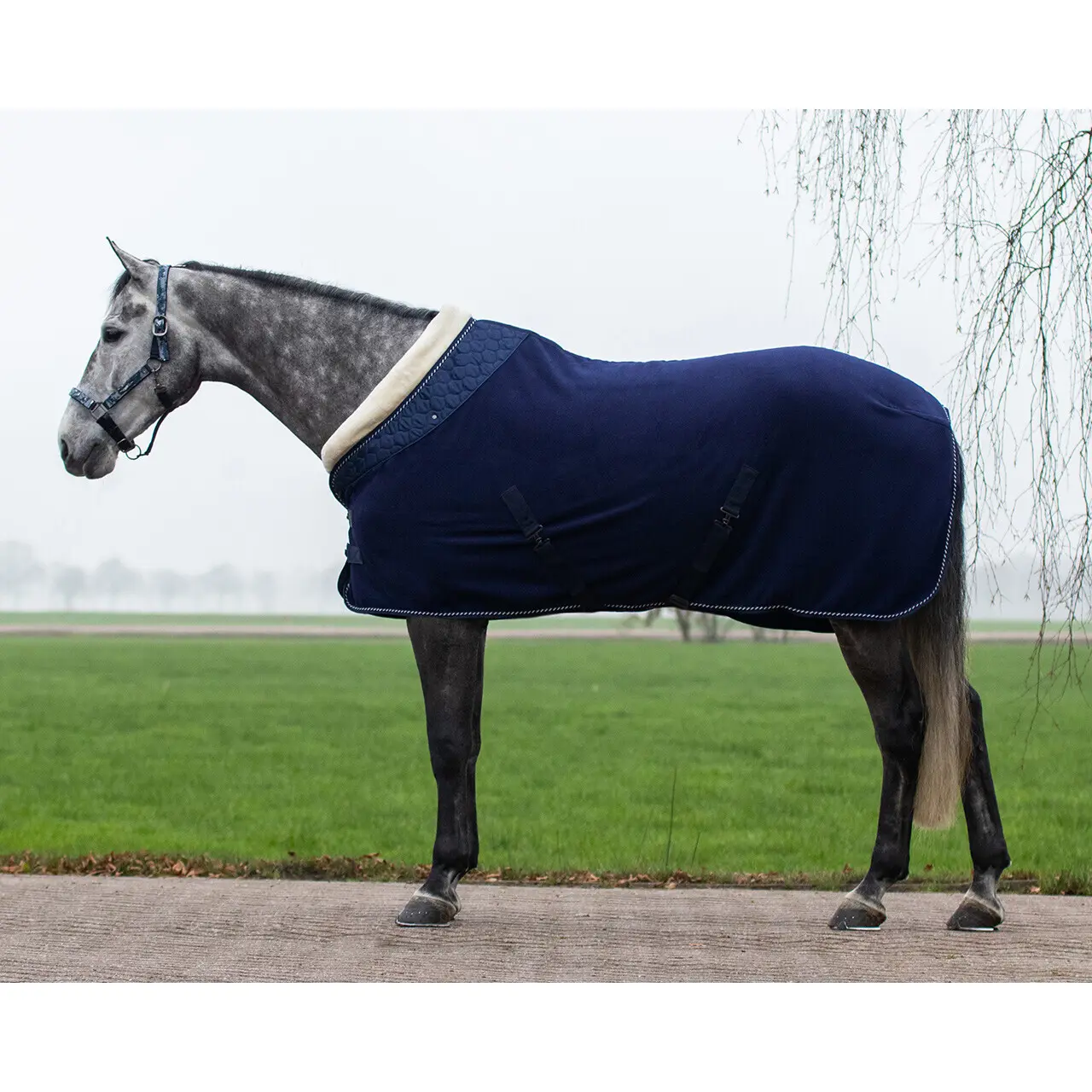 Qhp Bleu Fleece Horse Blanket Brilliance