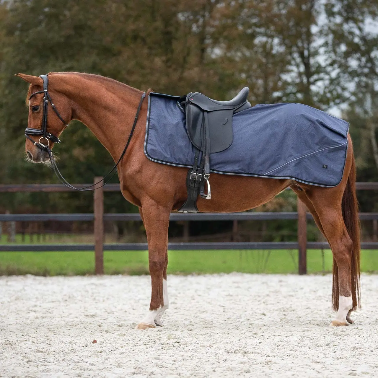 Comparer les prix de Couvre-reins polaire pour cheval QHP Sapphire