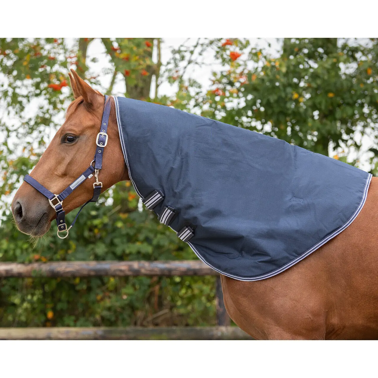 Qhp Bleu Waterproof Horse Rug 100G