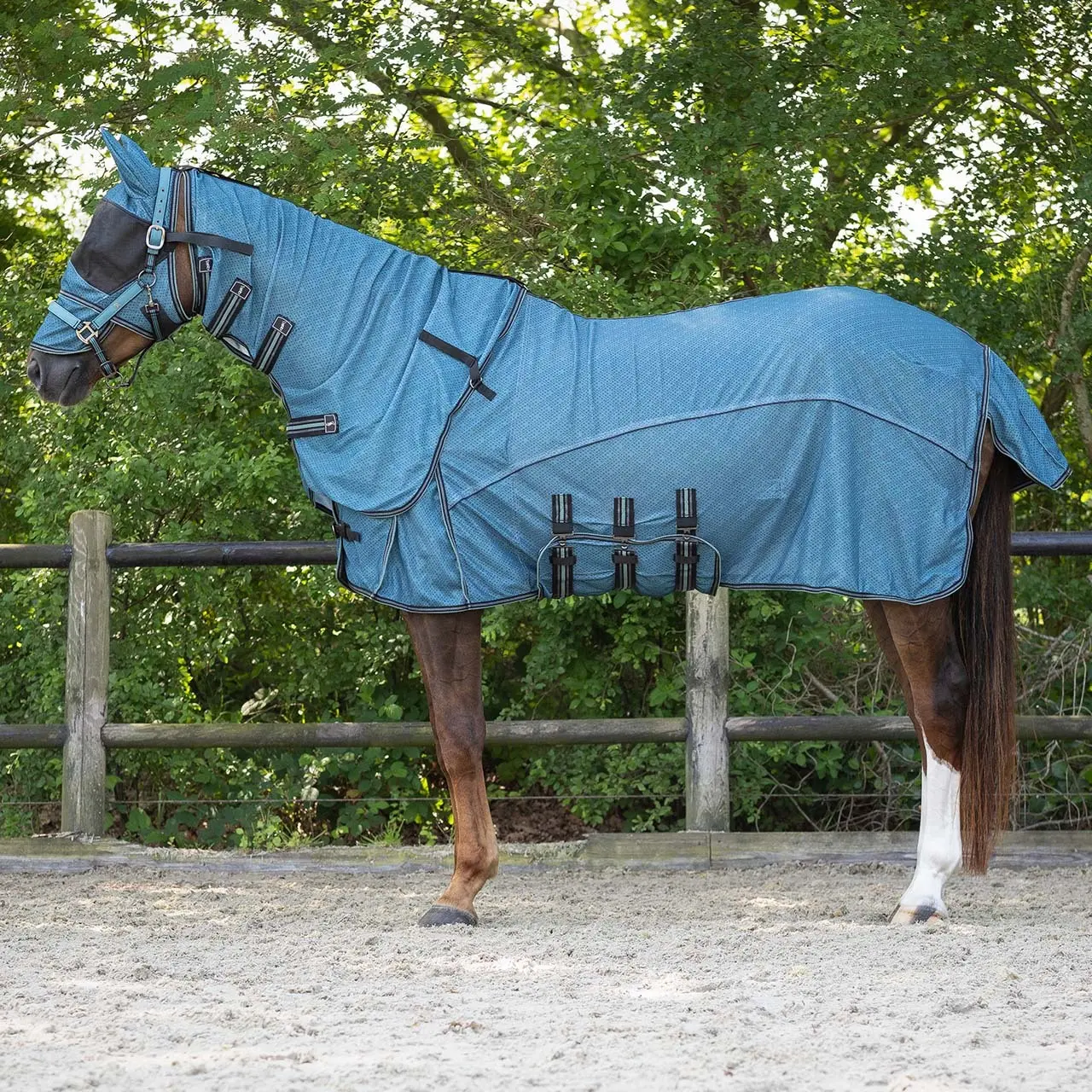 Fliegenbremse Shirt mit Hals und gut für das Pferd QHP