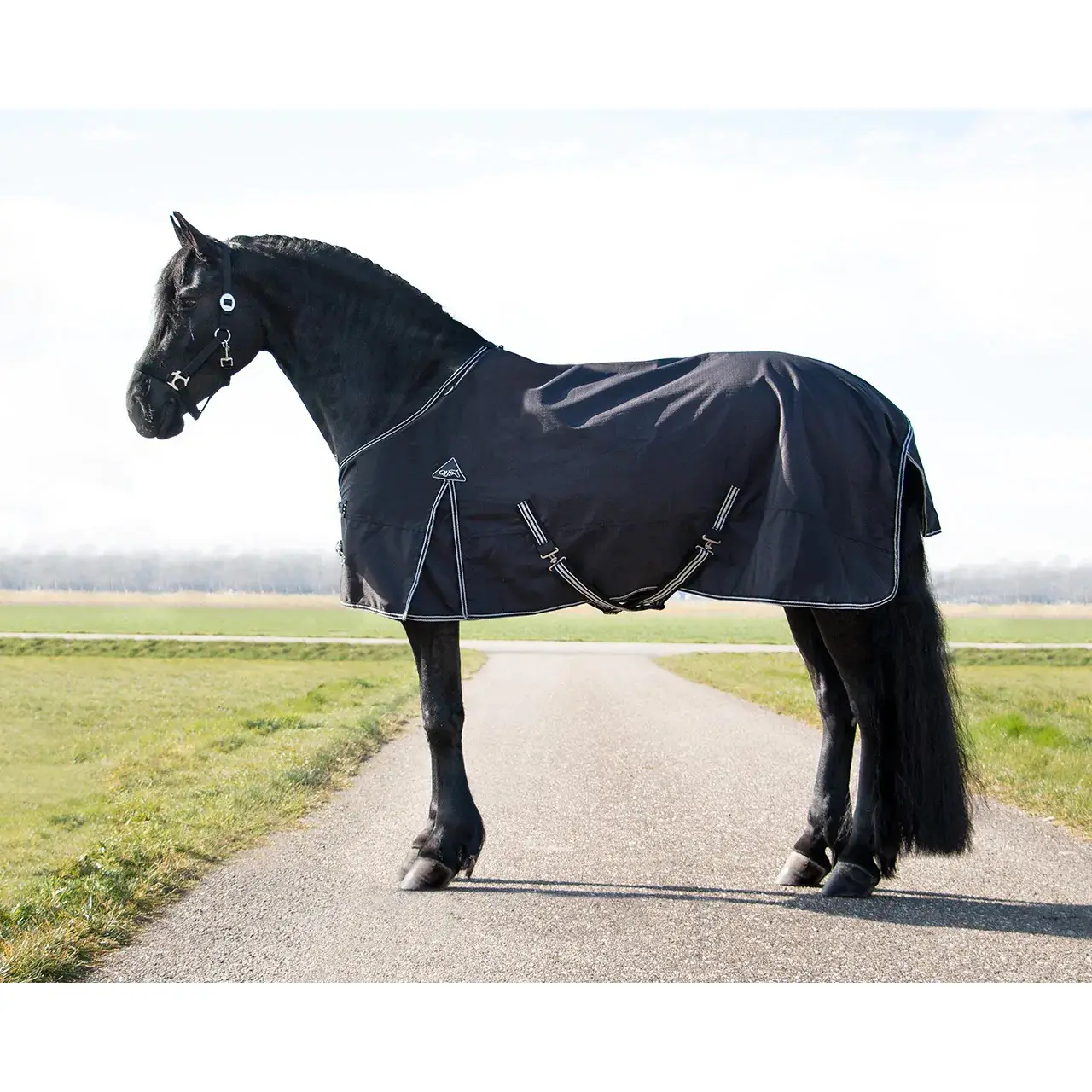 Coperta da paddock per cavalli QHP Turnout Big Neck 150g