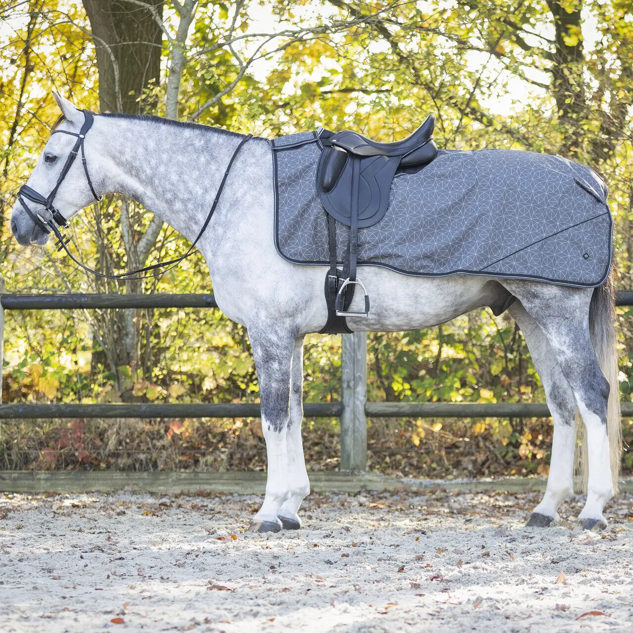 Meilleurs prix pour Couvre-reins polaire pour cheval QHP Collection
