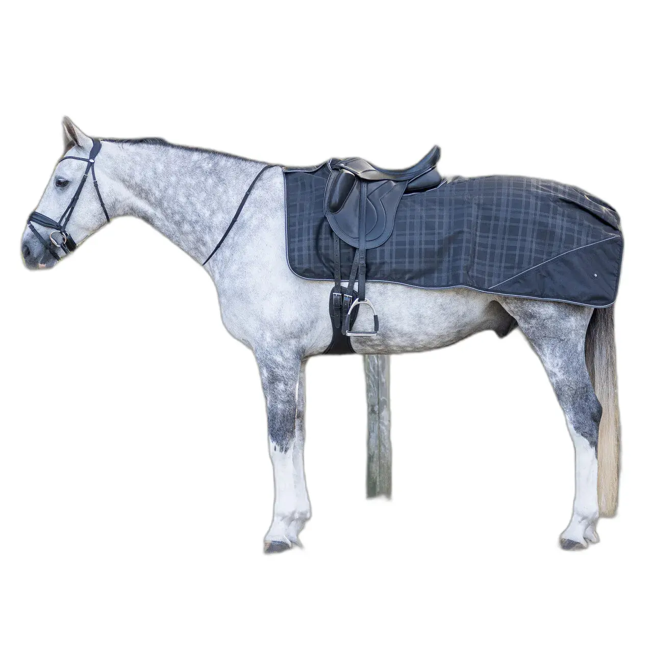 Qhp Bleu Fleece Hindquarters Covers 1200D