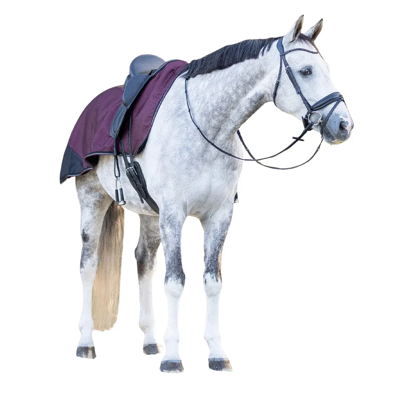 Qhp Rouge Fleece Hindquarters Covers 1200D