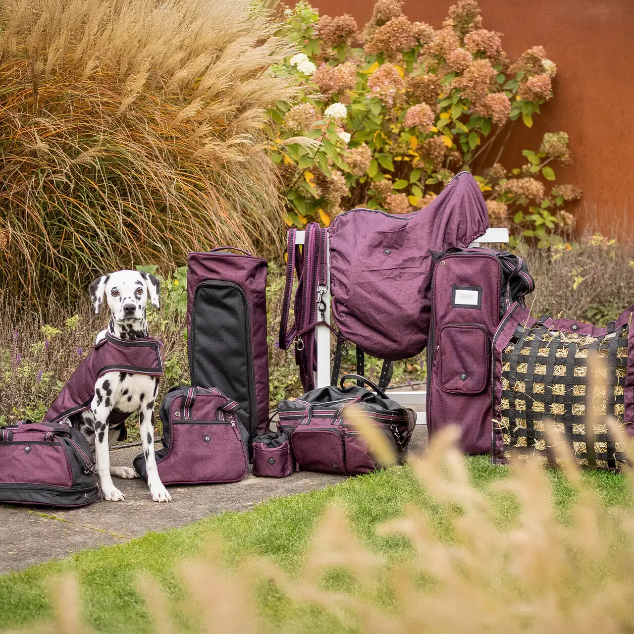 Qhp Rouge Bridle Bag
