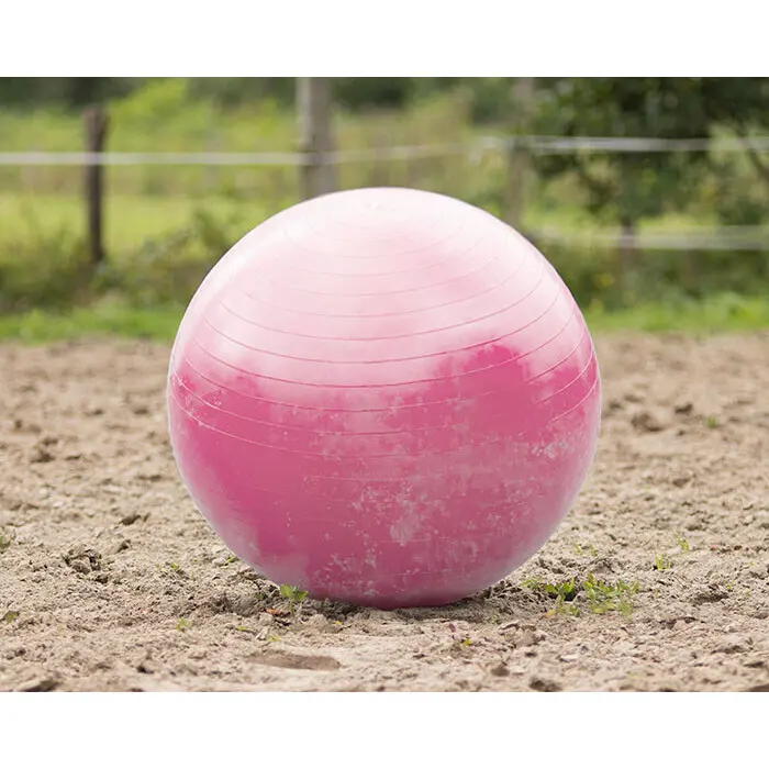 Qhp Rose Play Ball