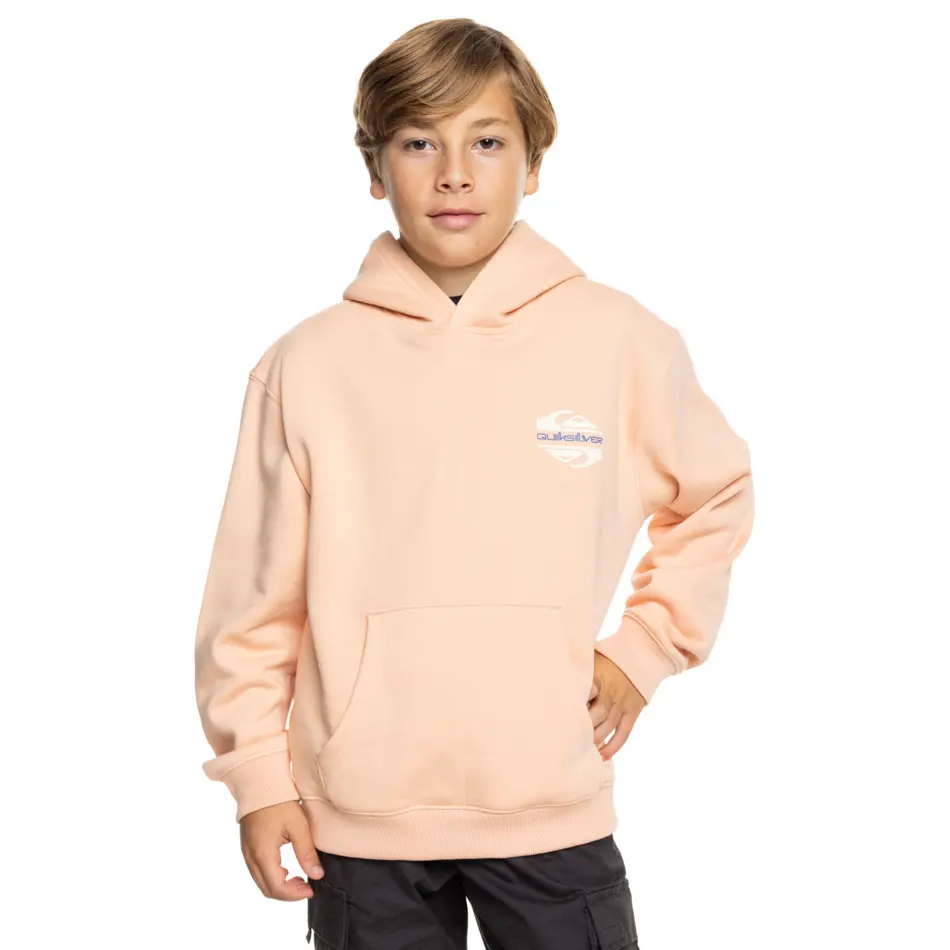 Kinder Kapuzenpullover Quiksilver Screen