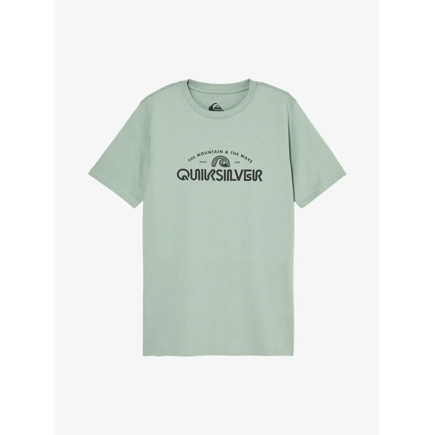 Quiksilver Boys Vert Children's T-Shirt Ev Vista Logo