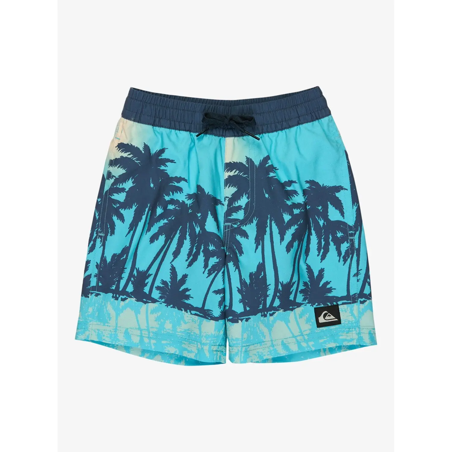 Surfshorts Kinder Quiksilver Everyday Printed Volley 13