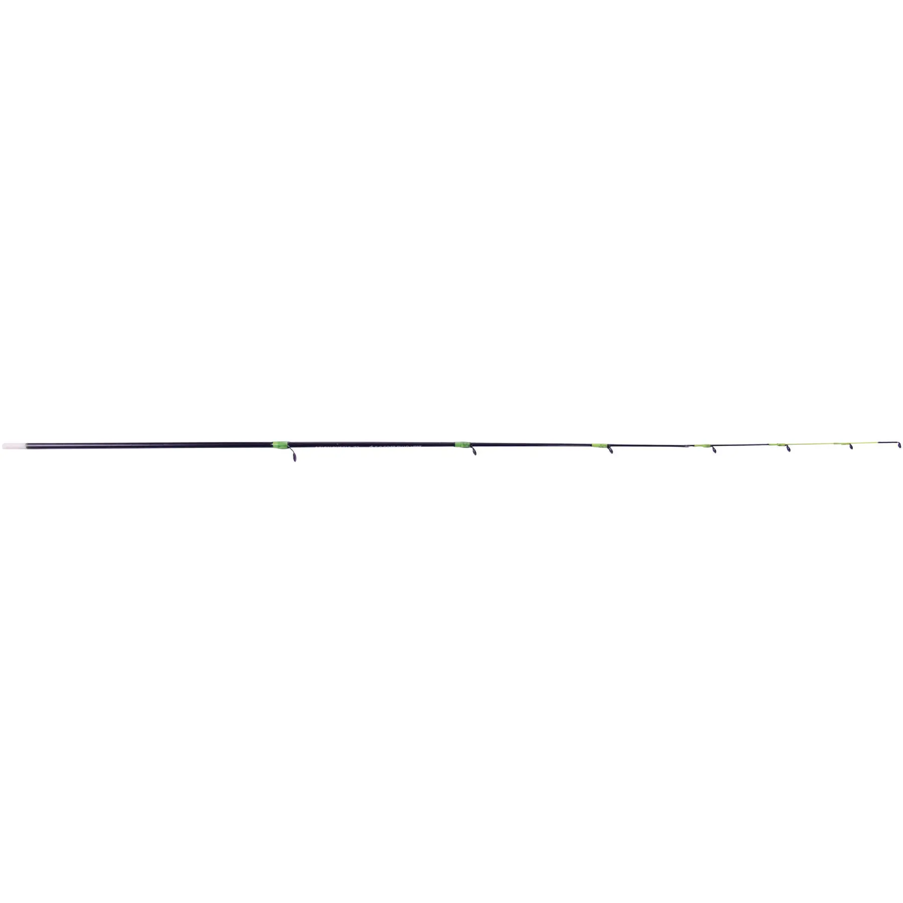 Scion buscle Ragot D3.0