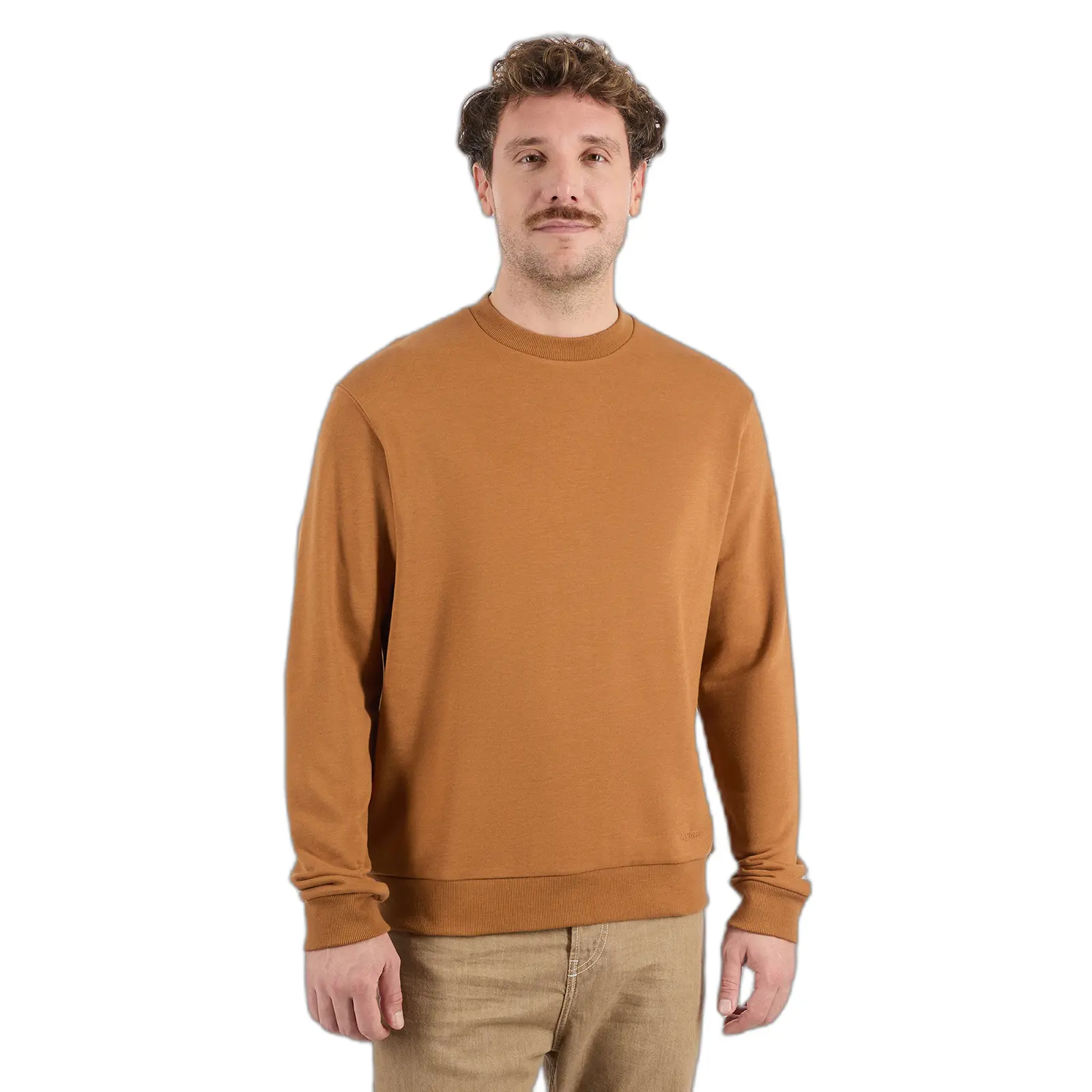 4255813177326 - Pullover Rayu