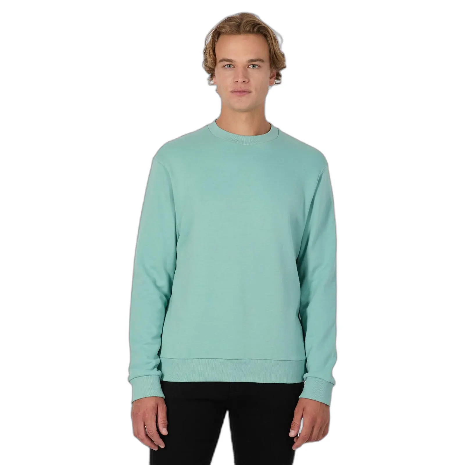 Pullover Ragwear Rayu