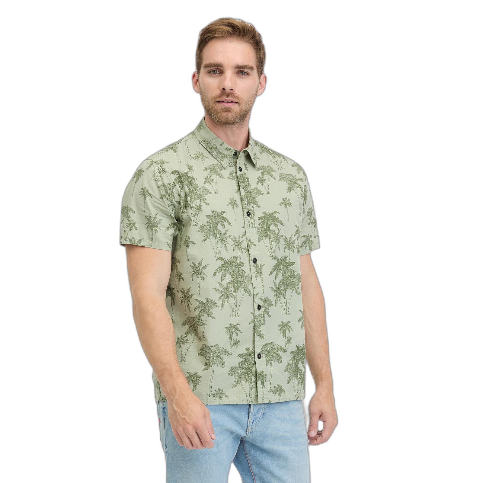 4252018617251 - Hemd Avry