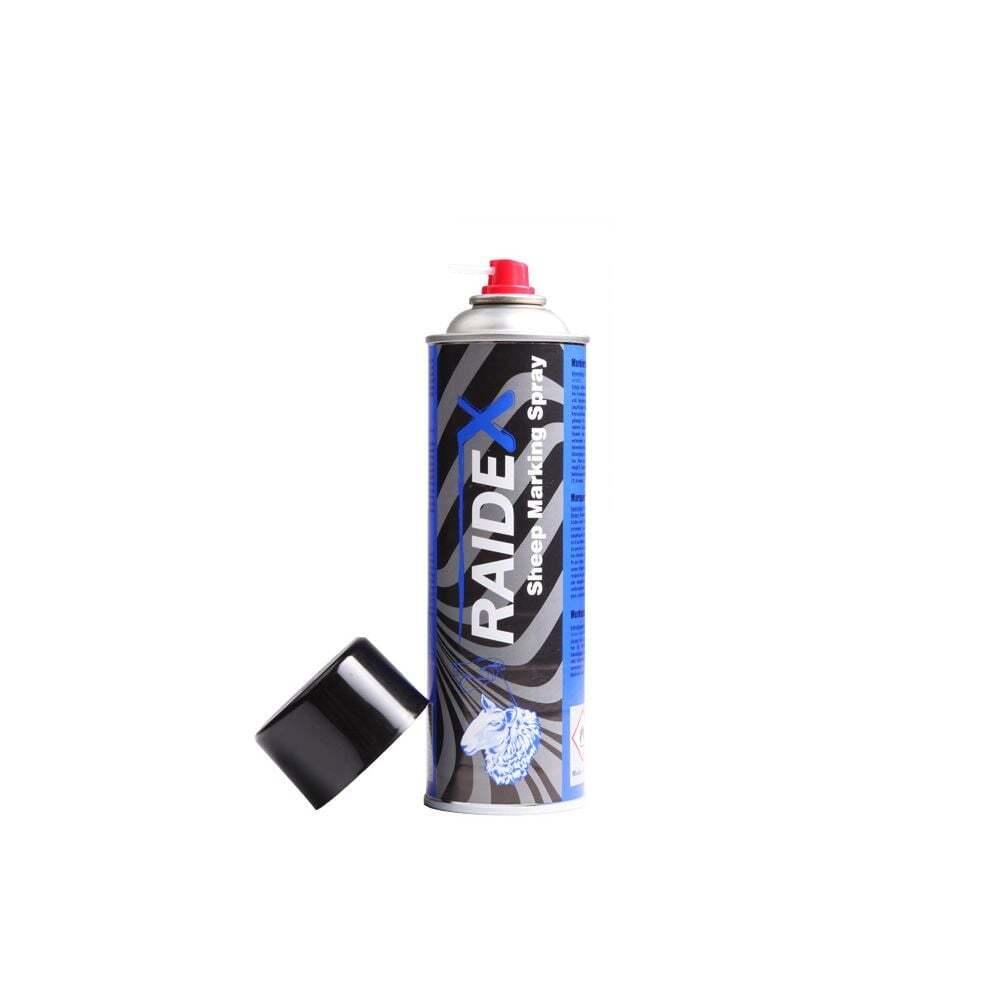product/r/a/raidex_108308006_bleu_2.jpg
