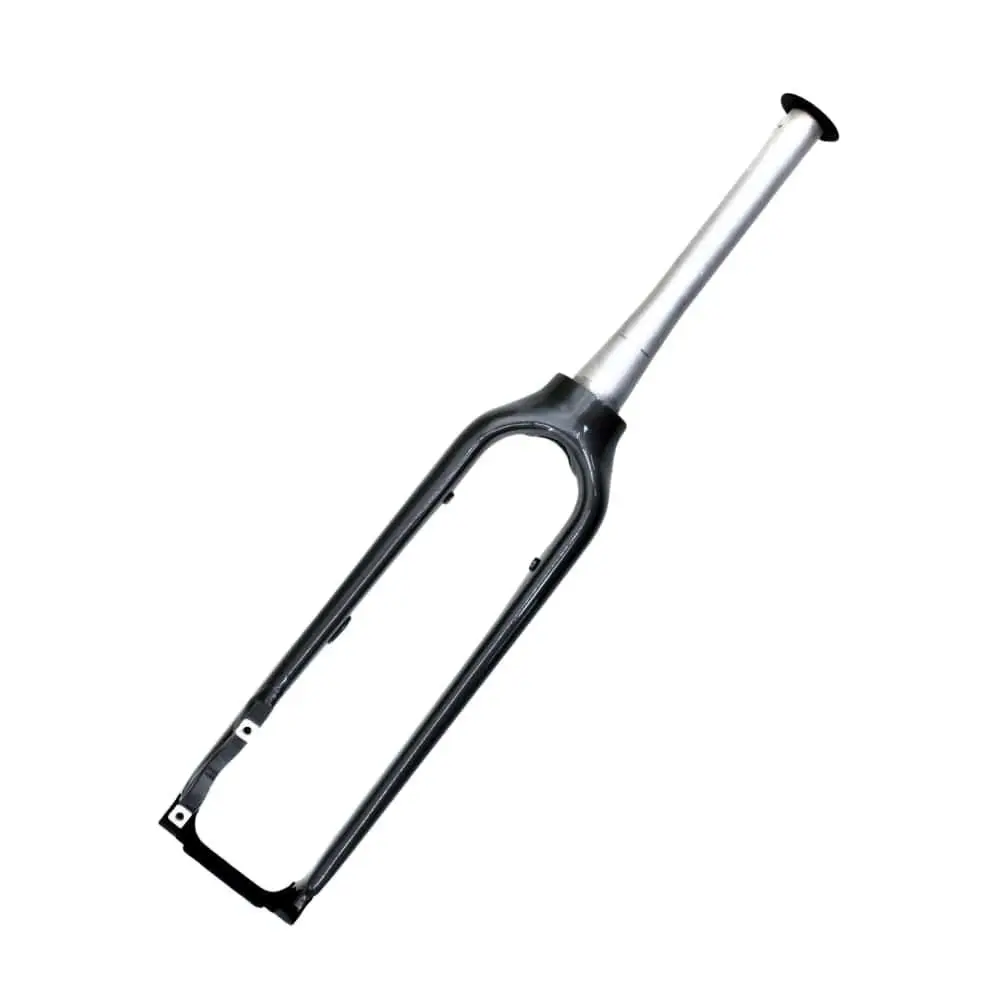 Gabel Raleigh E-Bike One