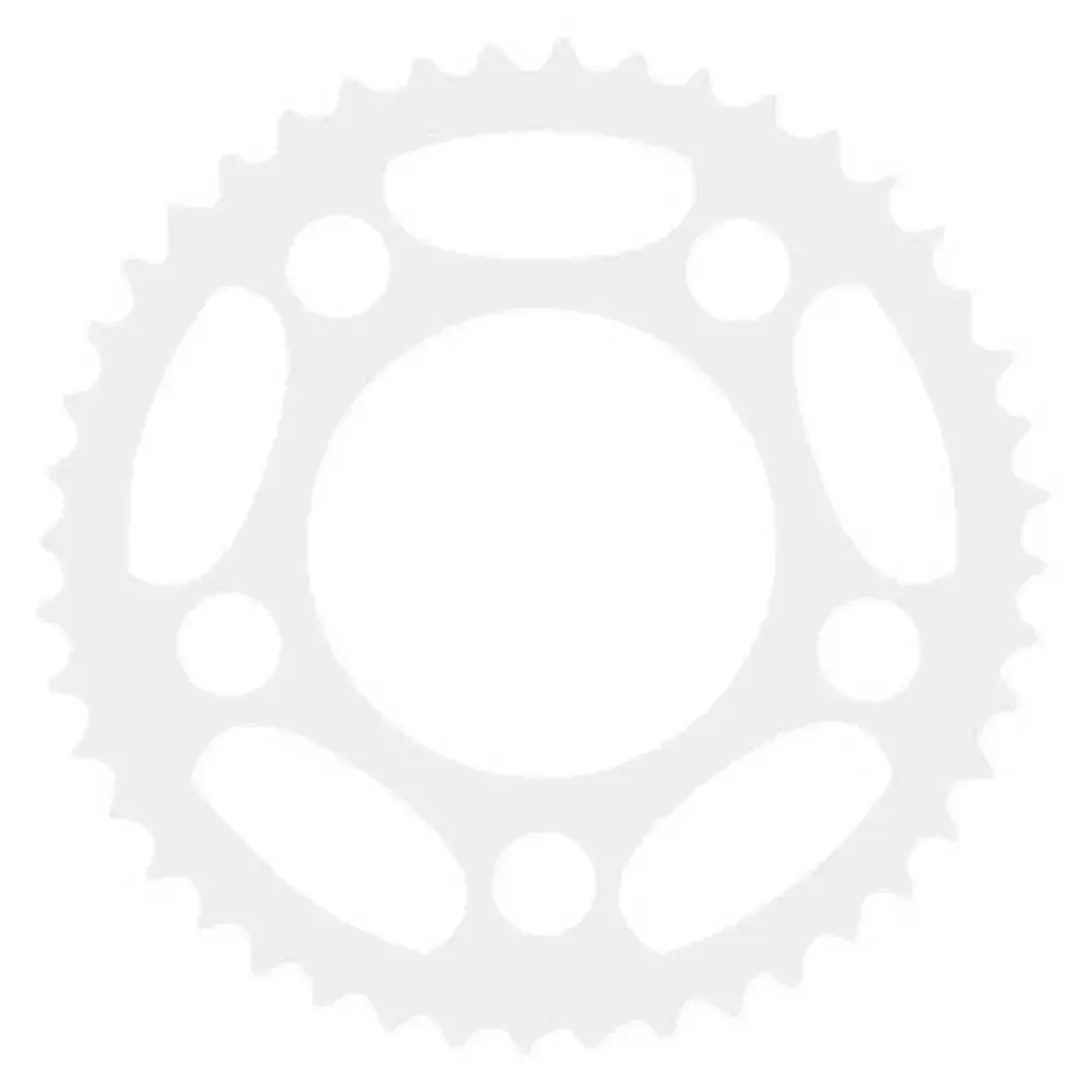 Achtertandwiel Raleigh E-bike One ST
