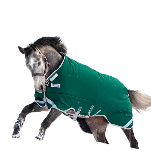Couverture d'extérieur pour cheval Rambo