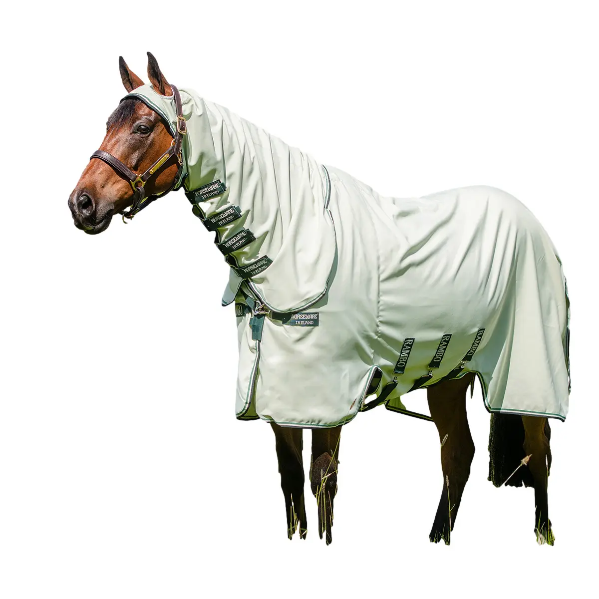 Comparer les prix de Couverture anti-mouches pour cheval avec couvre-cou Rambo