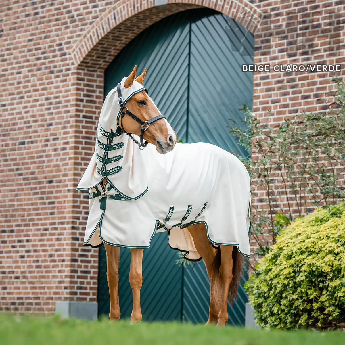 Comparer les prix de Couverture anti-mouches avec couvre-cou pour cheval Rambo