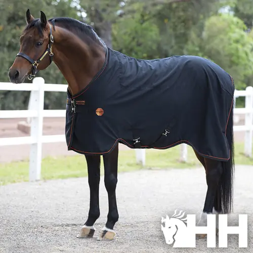 Meilleurs prix pour Couverture anti-insecte/été pour cheval Rambo