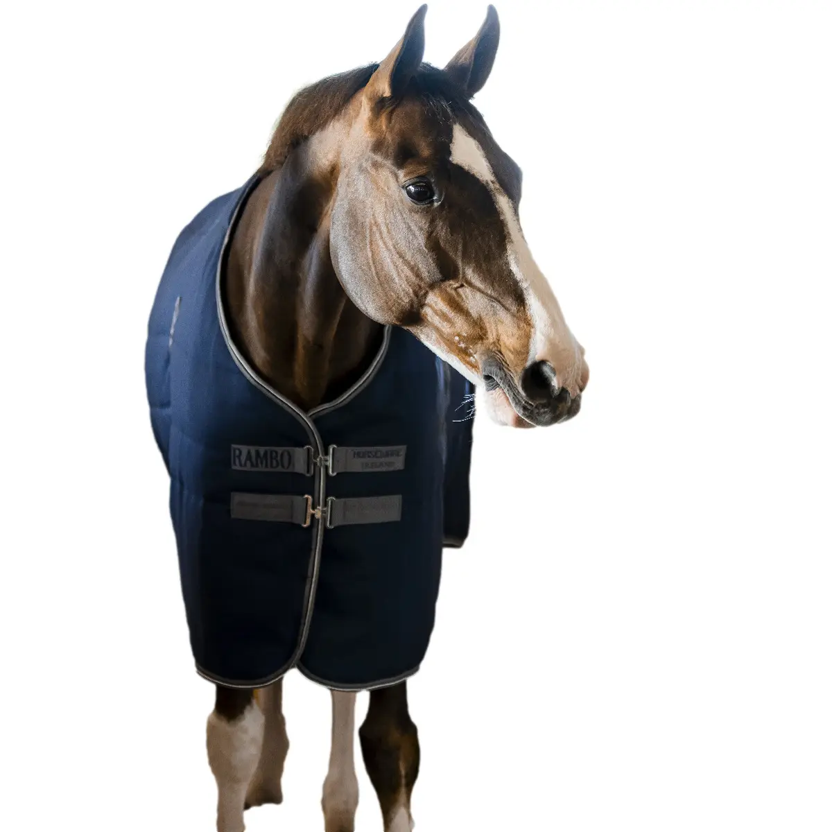 Comparer les prix de Couverture d'écurie pour cheval Rambo 100g