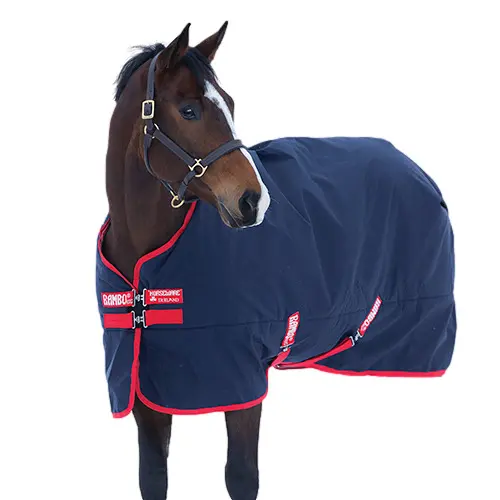 Meilleurs prix pour Couverture d'extérieur pour cheval Rambo Original 200g