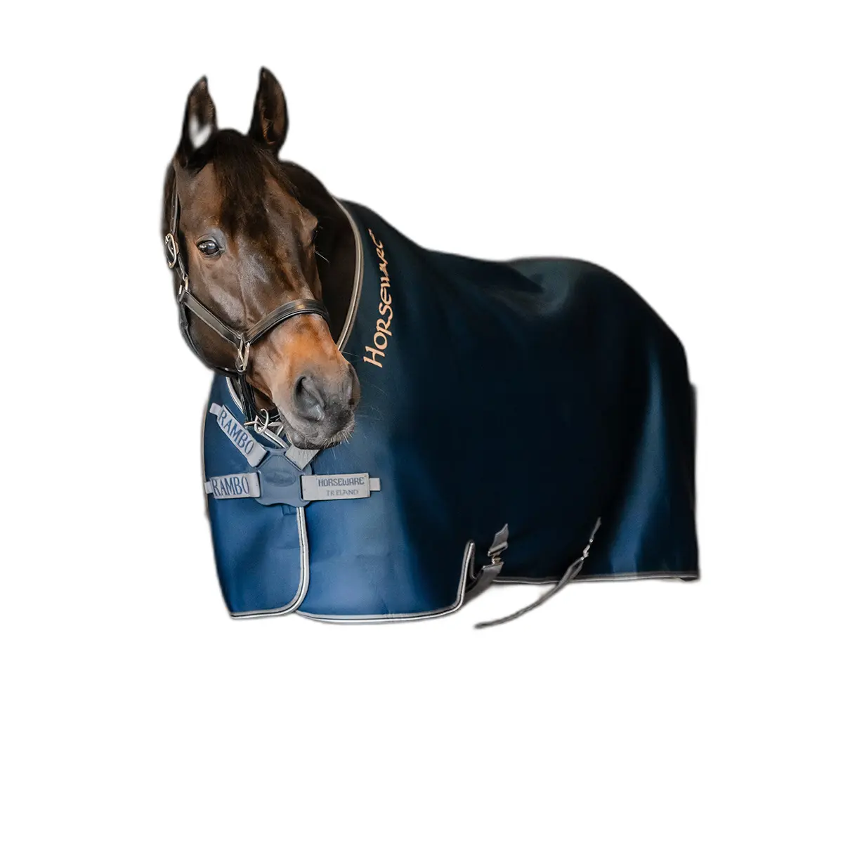 Comparer les prix de Couverture séchante pour cheval Rambo Airmax