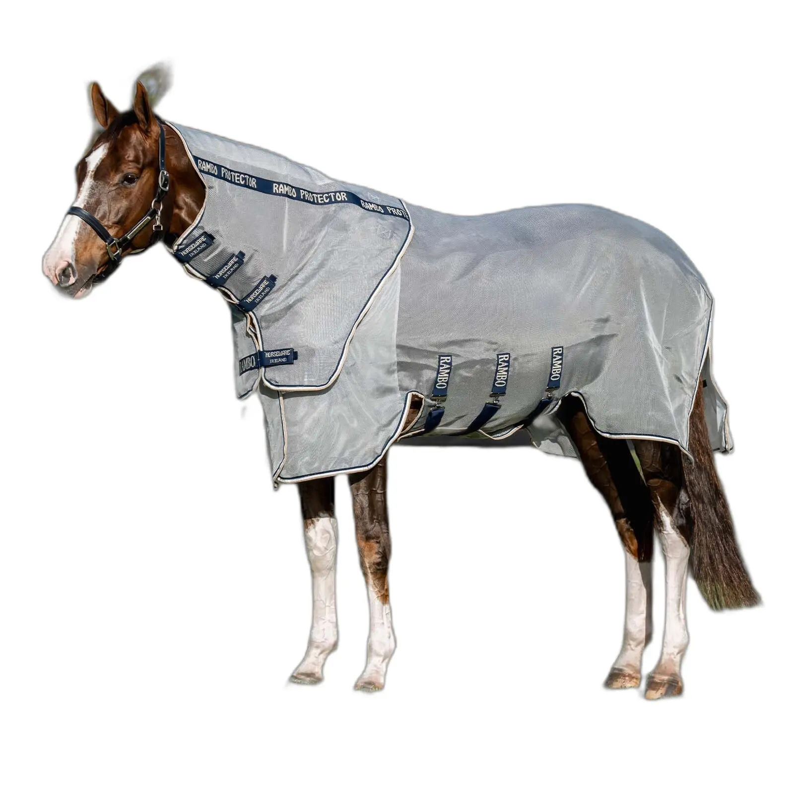 Couverture anti-mouches pour cheval avec couvre-cou Rambo Protector Fieldsafe Plus
