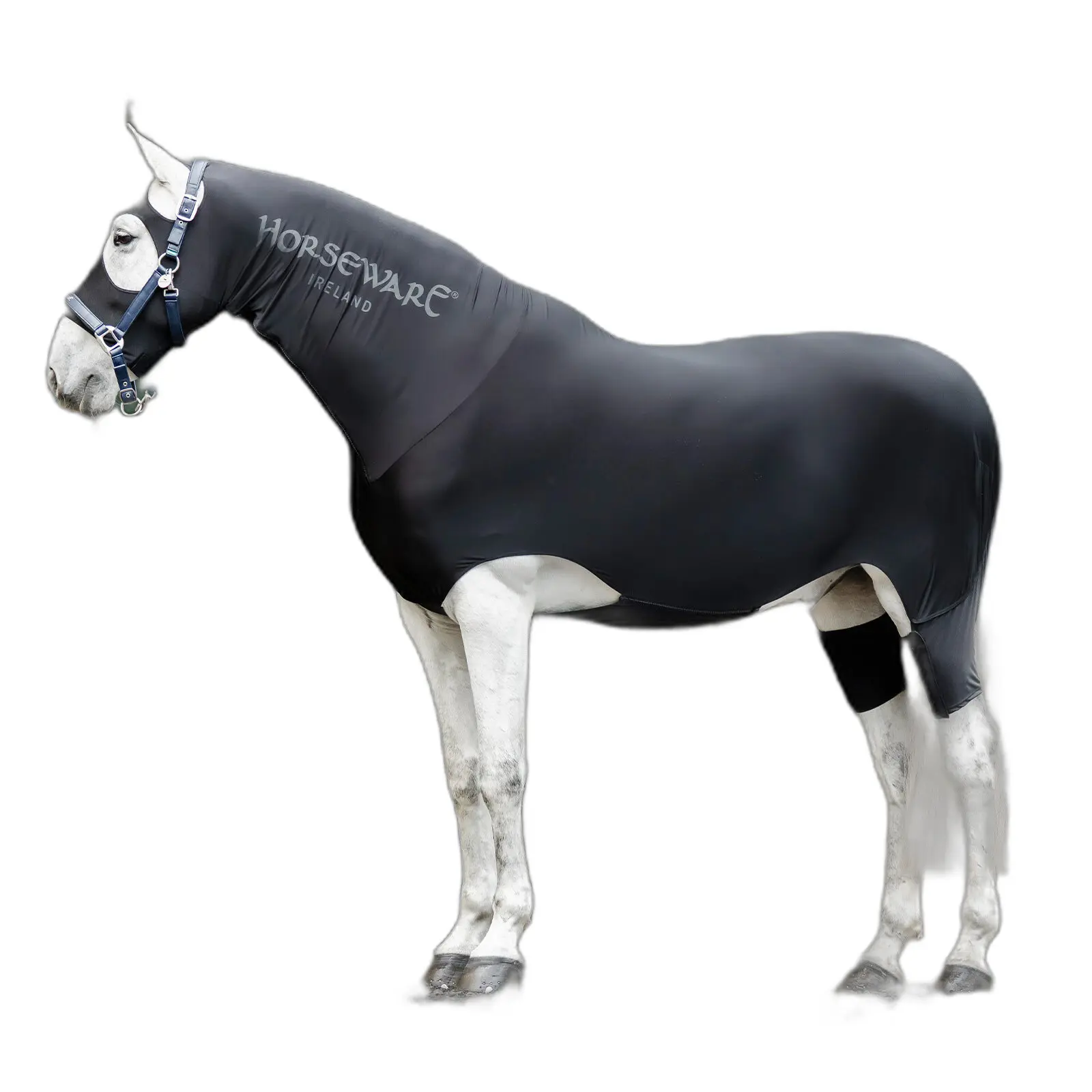 Couverture pour cheval intégral Rambo Slinky
