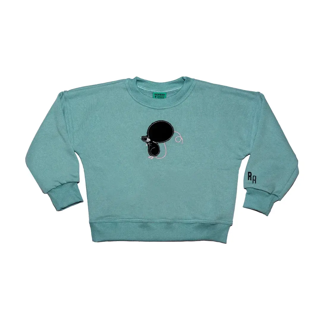 Image of Sweatshirt Baby Jungen Raspberry Republic