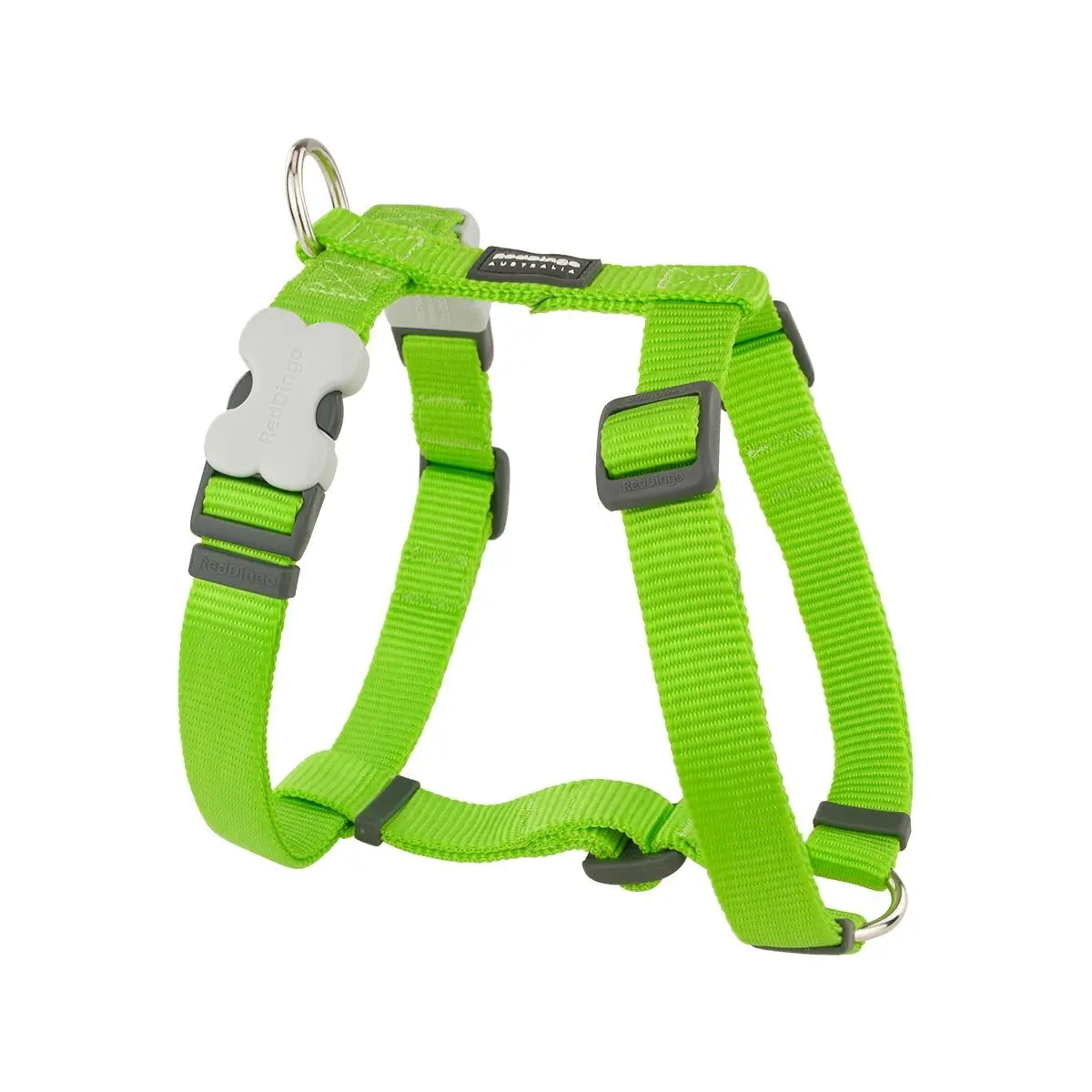 Red dingo - harnais pour chien - vert anis - l