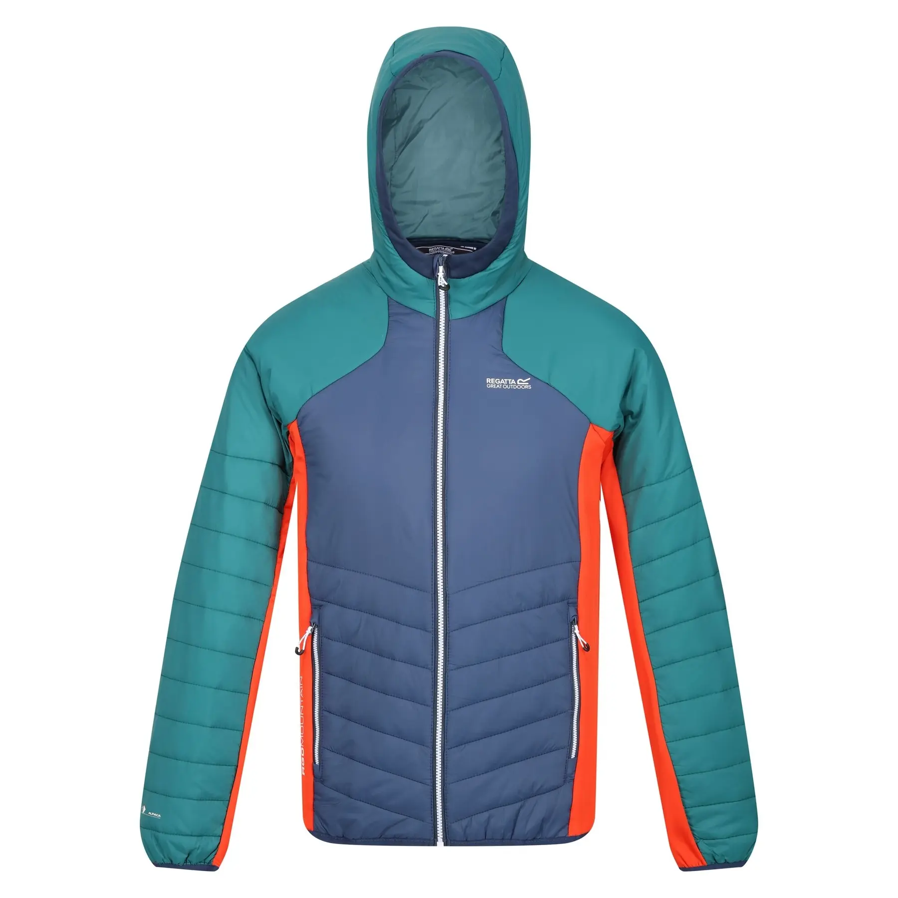 Daunenjacke  mit Kapuze Regatta Trutton