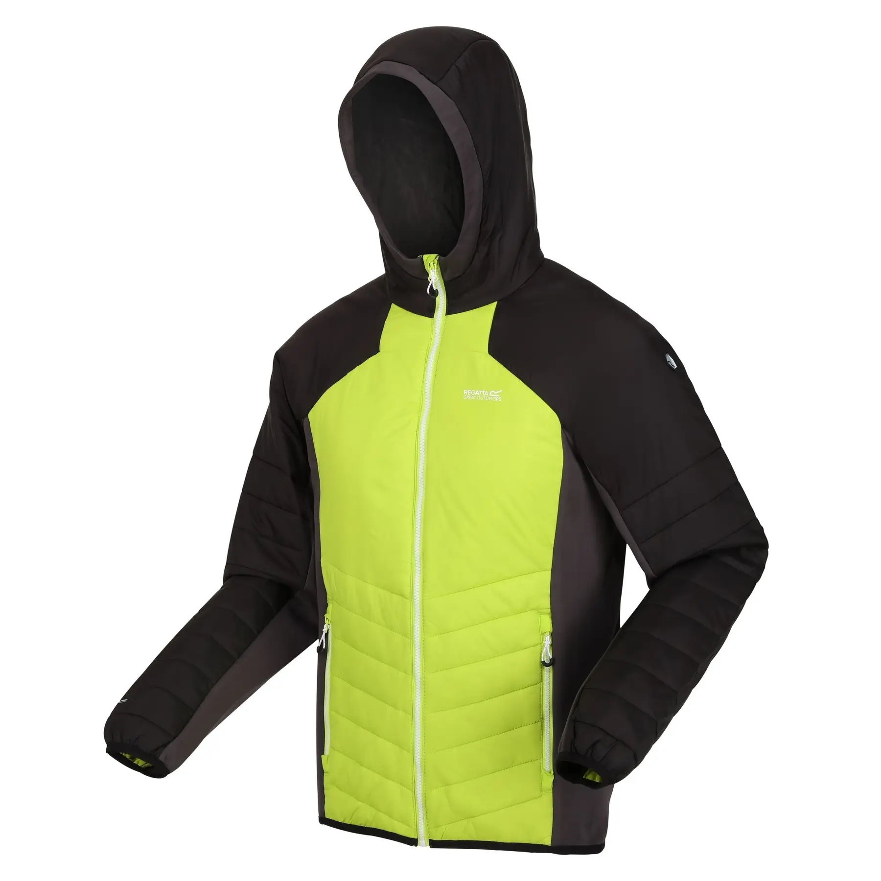 Daunenjacke  mit Kapuze Regatta Trutton