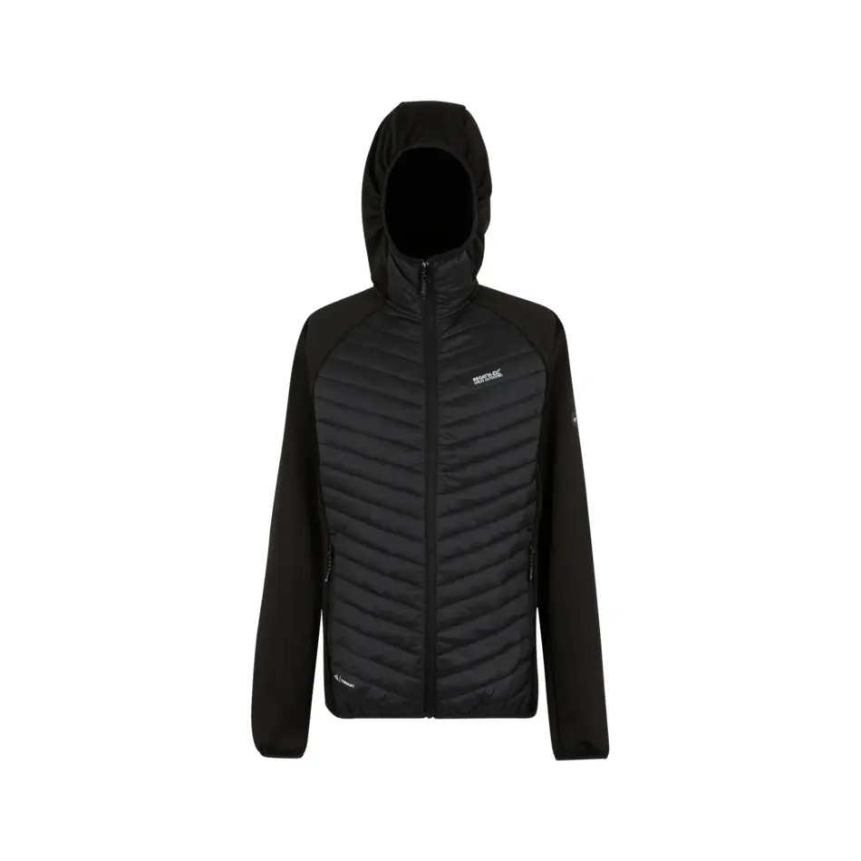 Daunenjacke Regatta Andreson