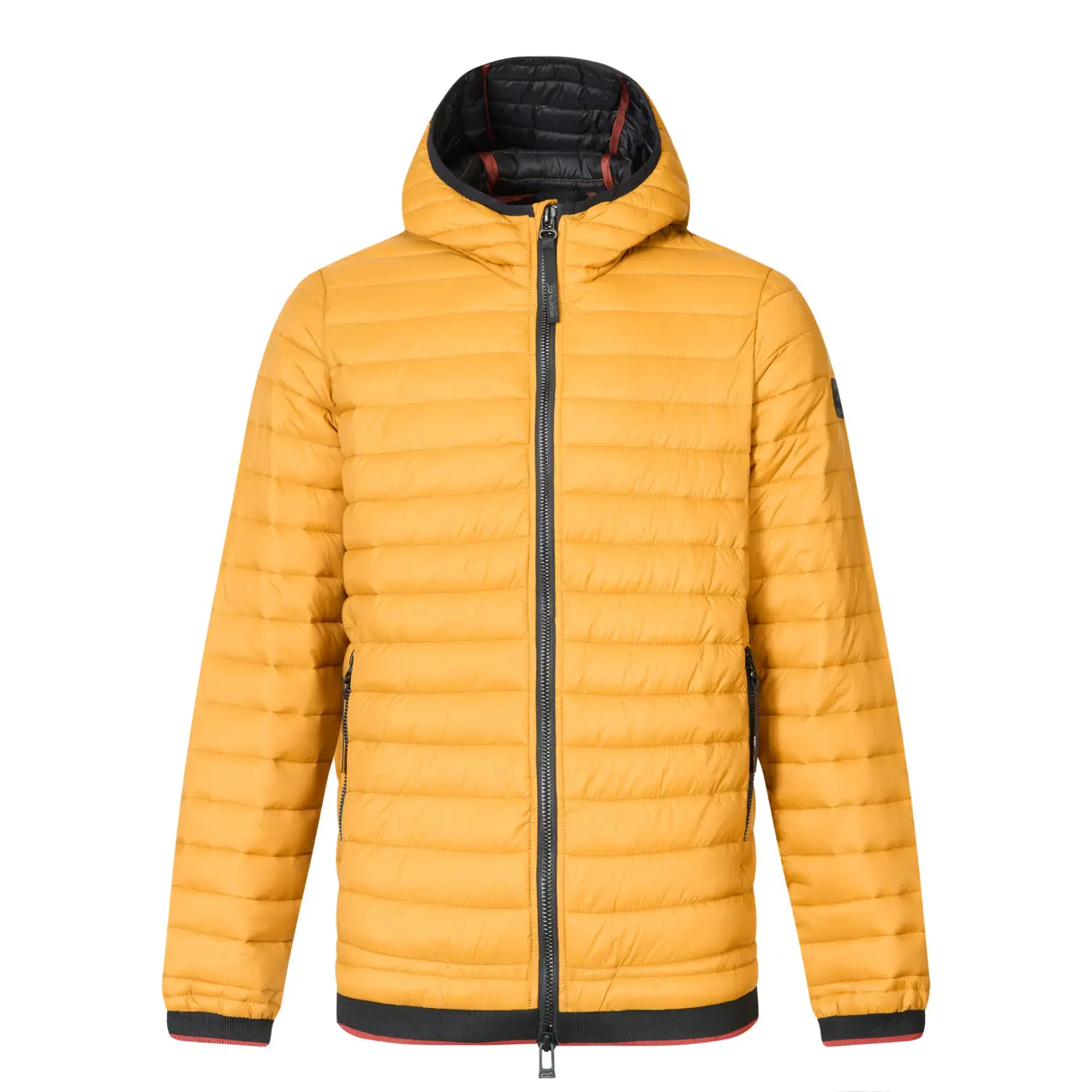 Daunenjacke  mit Kapuze Regatta Haile