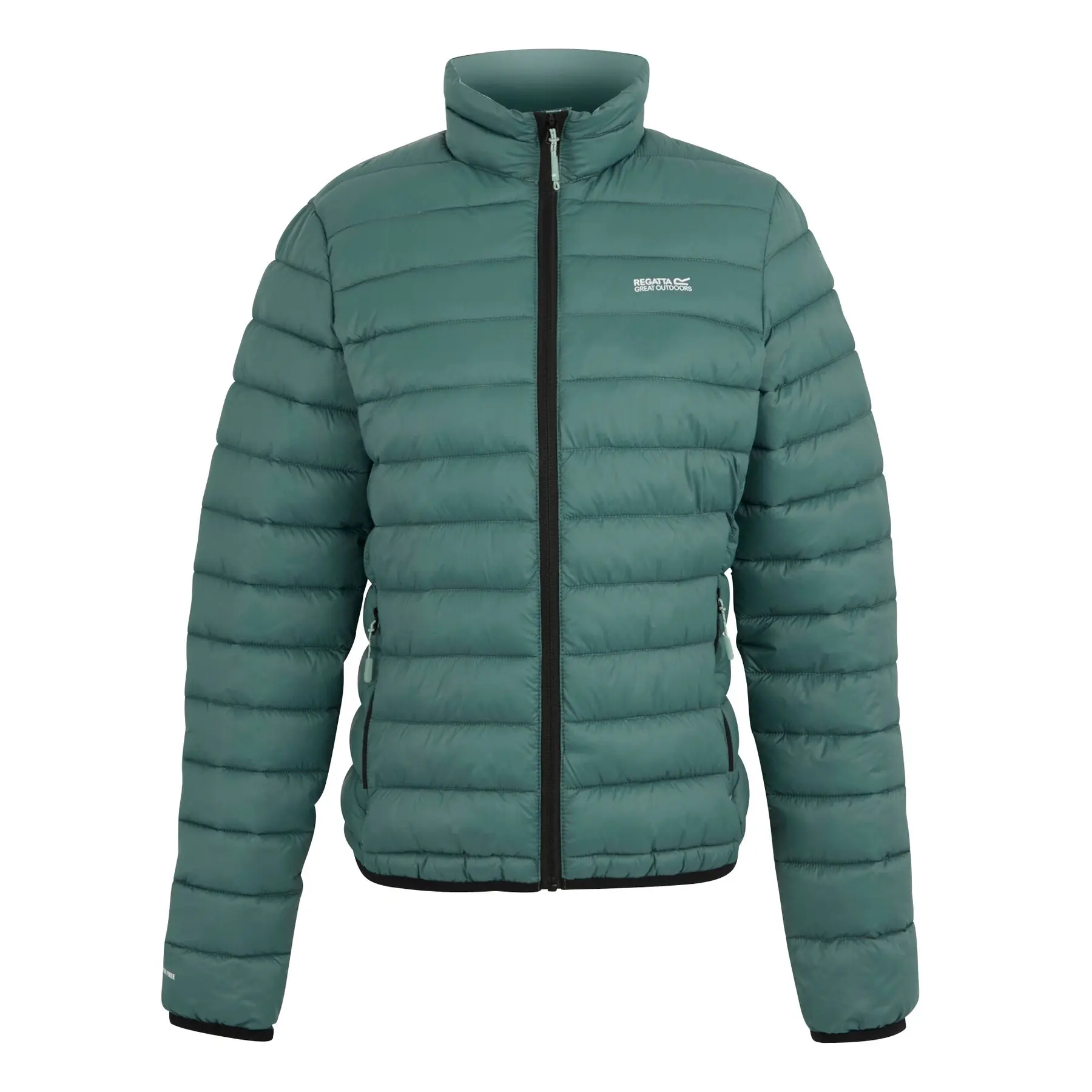 Regatta Women's Vert Down Jacket Marizion