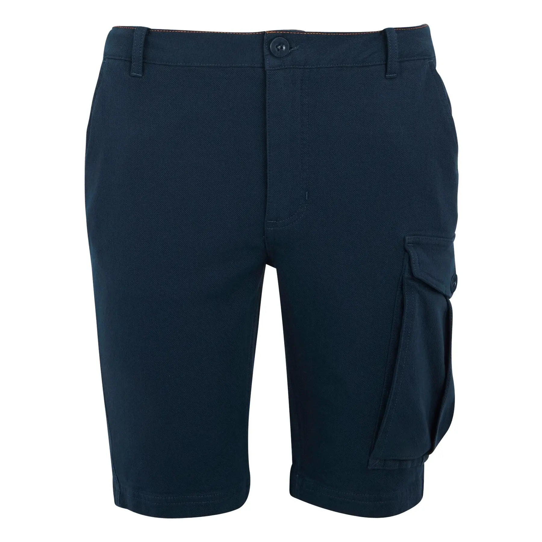 Cargo Shorts Regatta Bendrick