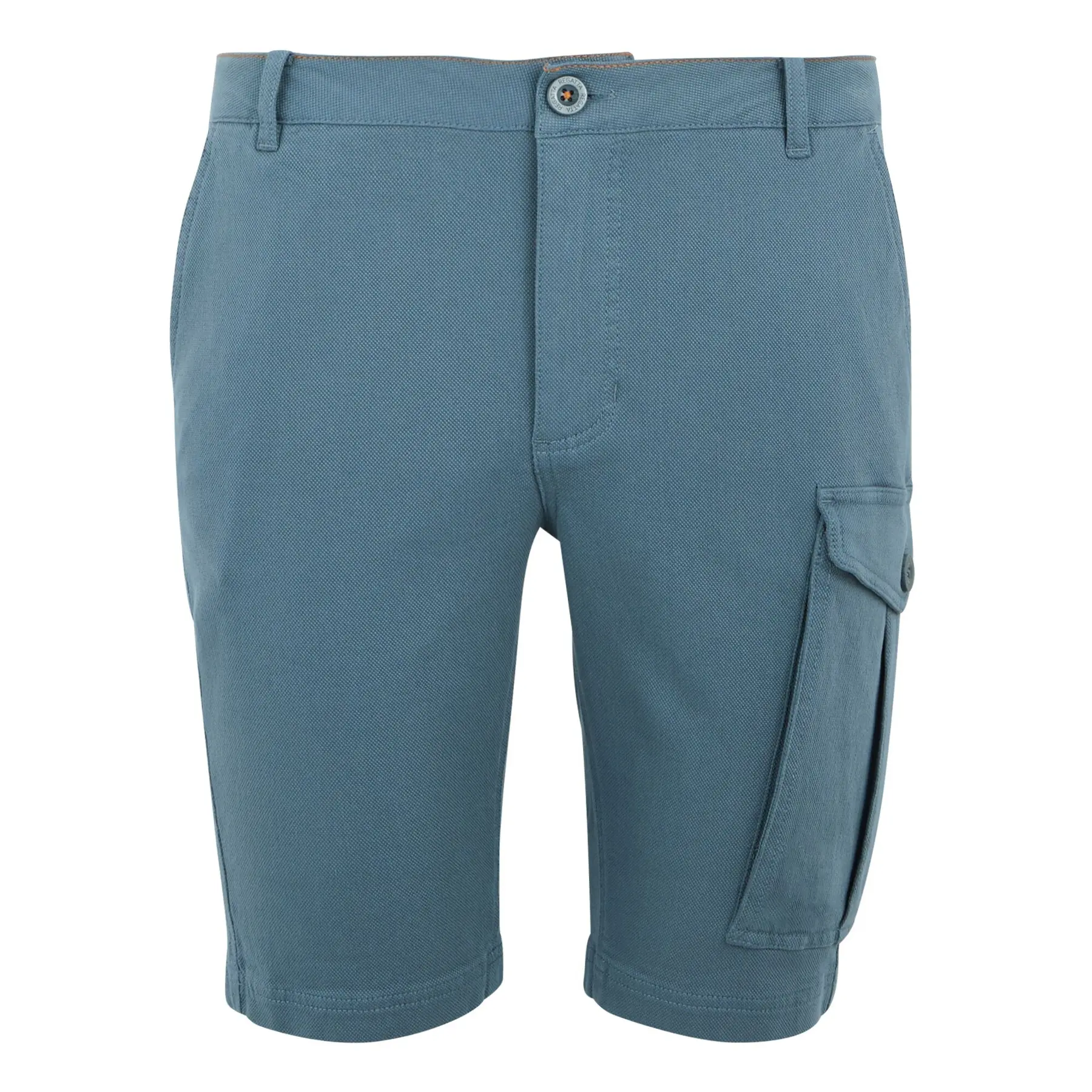 Cargo Shorts Regatta Bendrick