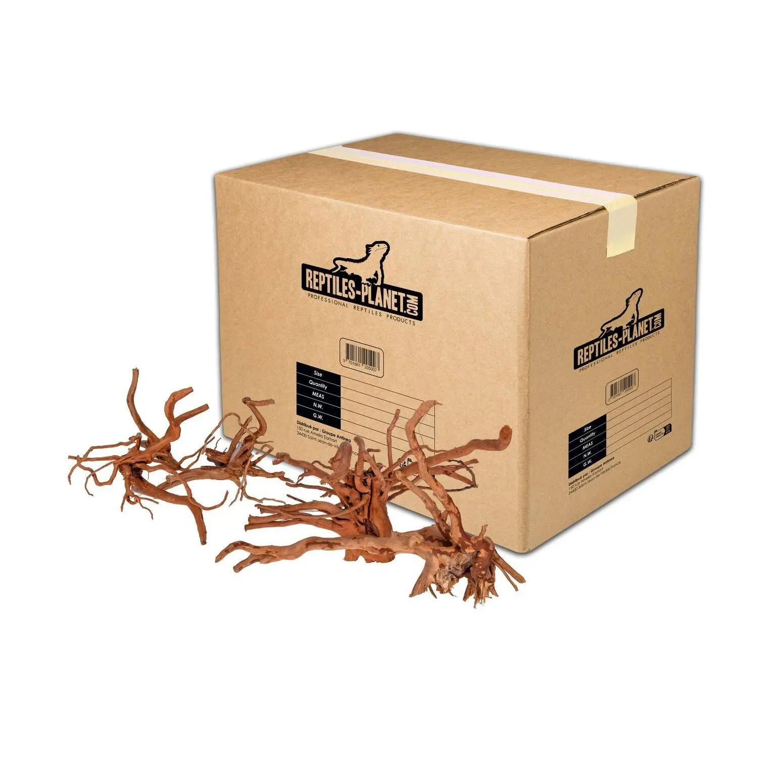 Comparer les prix de Décoration d'aquarium racine araignée M Reptiles Planet