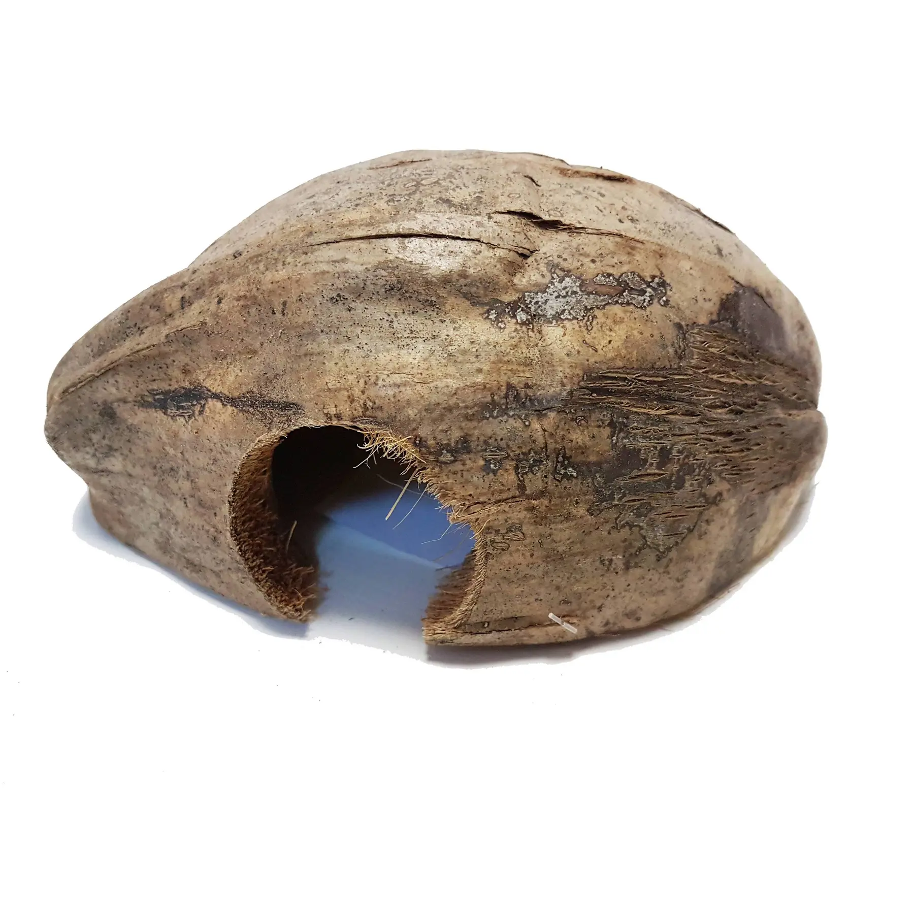 Meilleurs prix pour Accessoire de terrarium Reptiles Planet Coco Casa