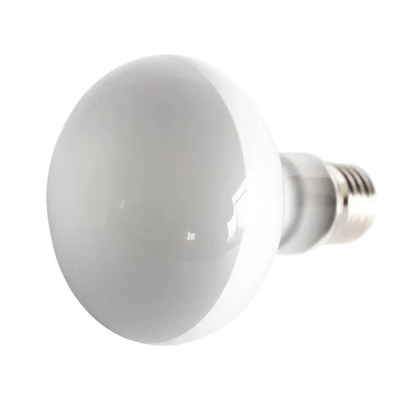 Meilleurs prix pour Ampoule Reptiles Planet Repti UVA