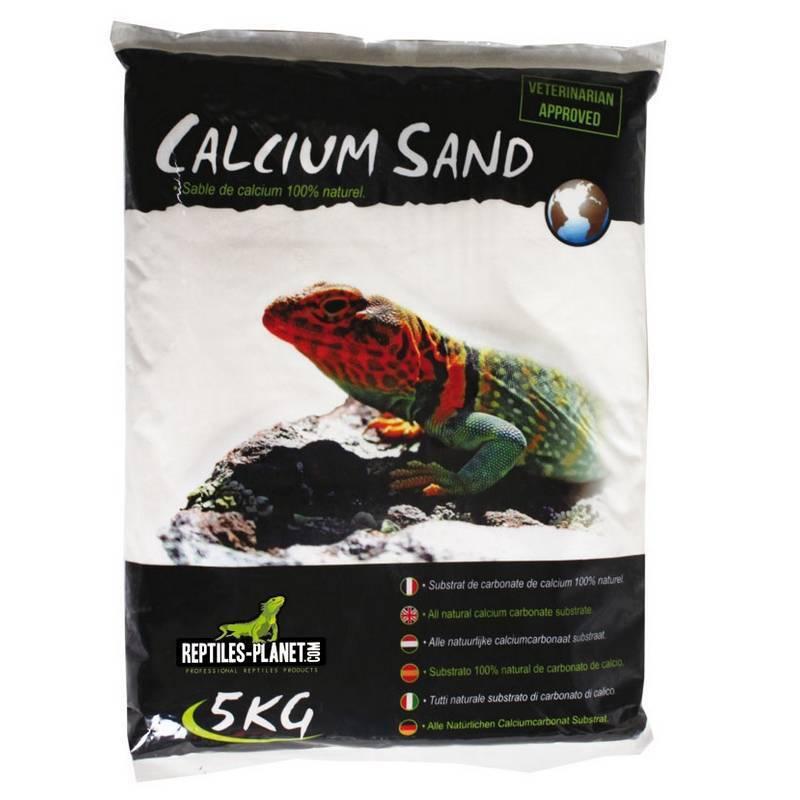 product/r/e/reptiles-planet_rp875820_cream_1.jpg