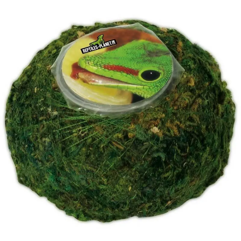 Meilleurs prix pour Accessoire de terrarium Reptiles Planet Moss Ball