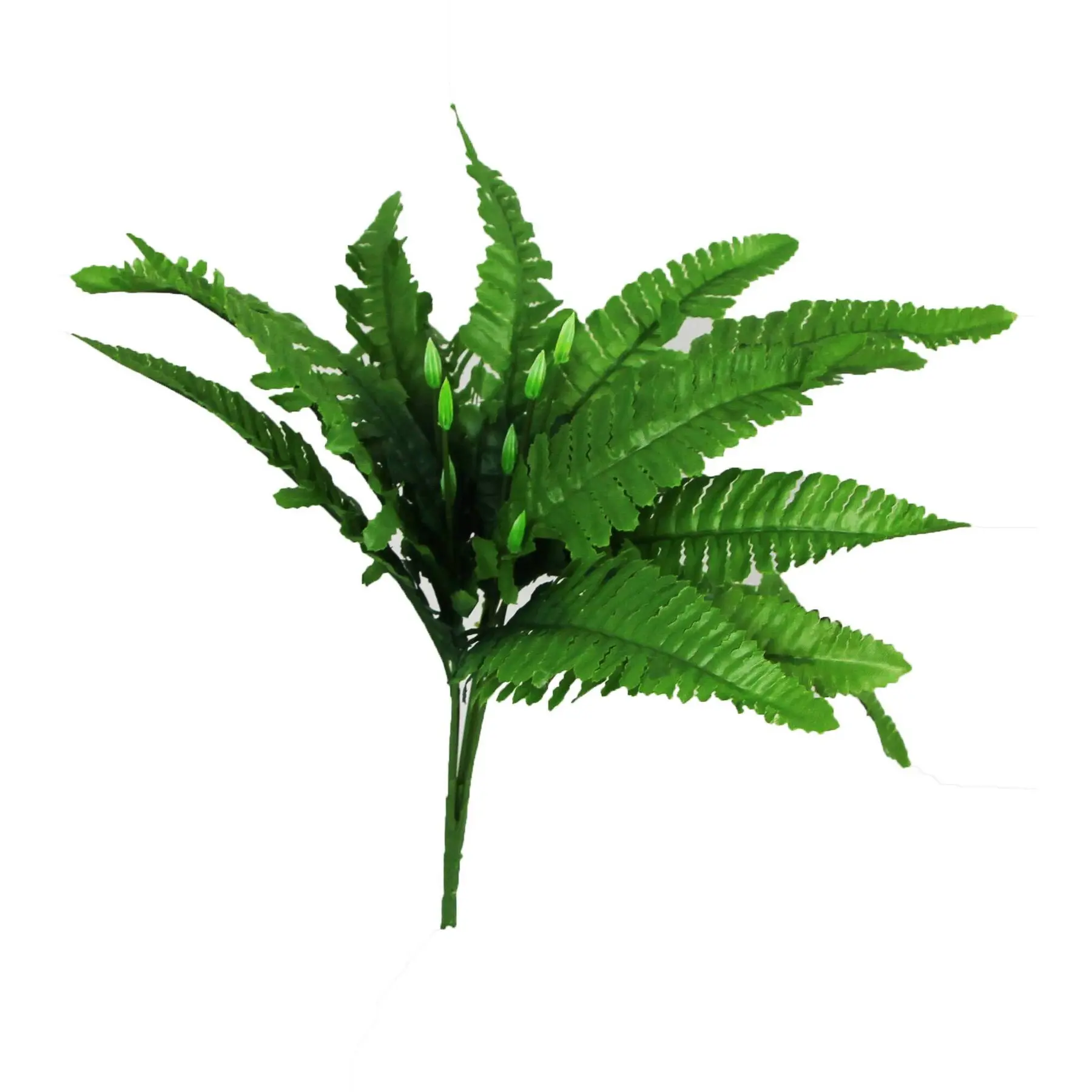 Meilleurs prix pour Décoration d'aquarium Reptiles Planet Cordifoolia