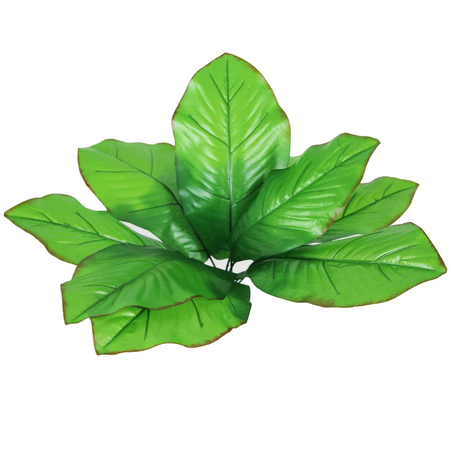 Meilleurs prix pour Décoration d'aquarium Reptiles Planet Cala