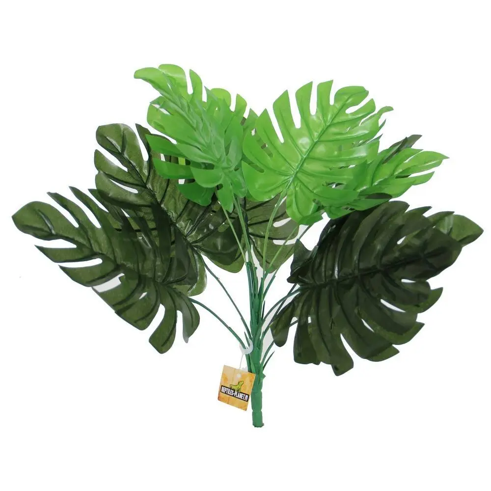 Comparer les prix de Décoration d'aquarium Reptiles Planet Philodendron