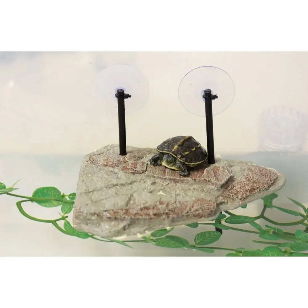 Reptiles Planet Blanc Terrarium Accessories Turtle Island