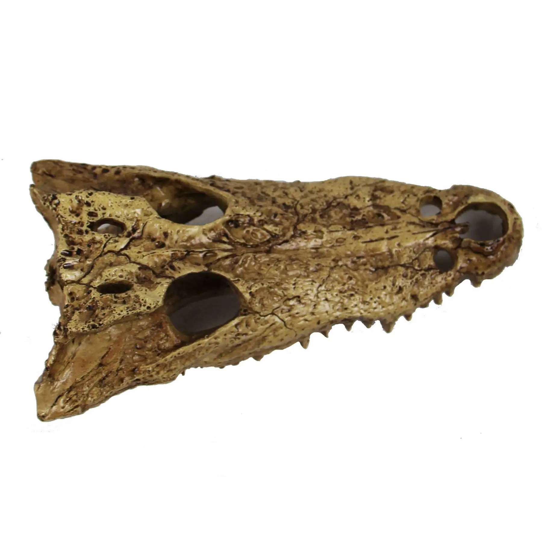 Meilleurs prix pour Accessoire de terrarium Reptiles Planet Gator Bones