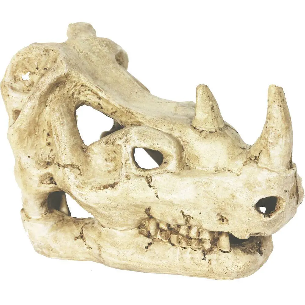 Comparer les prix de Accessoire de terrarium Reptiles Planet Rhinoceros Skull